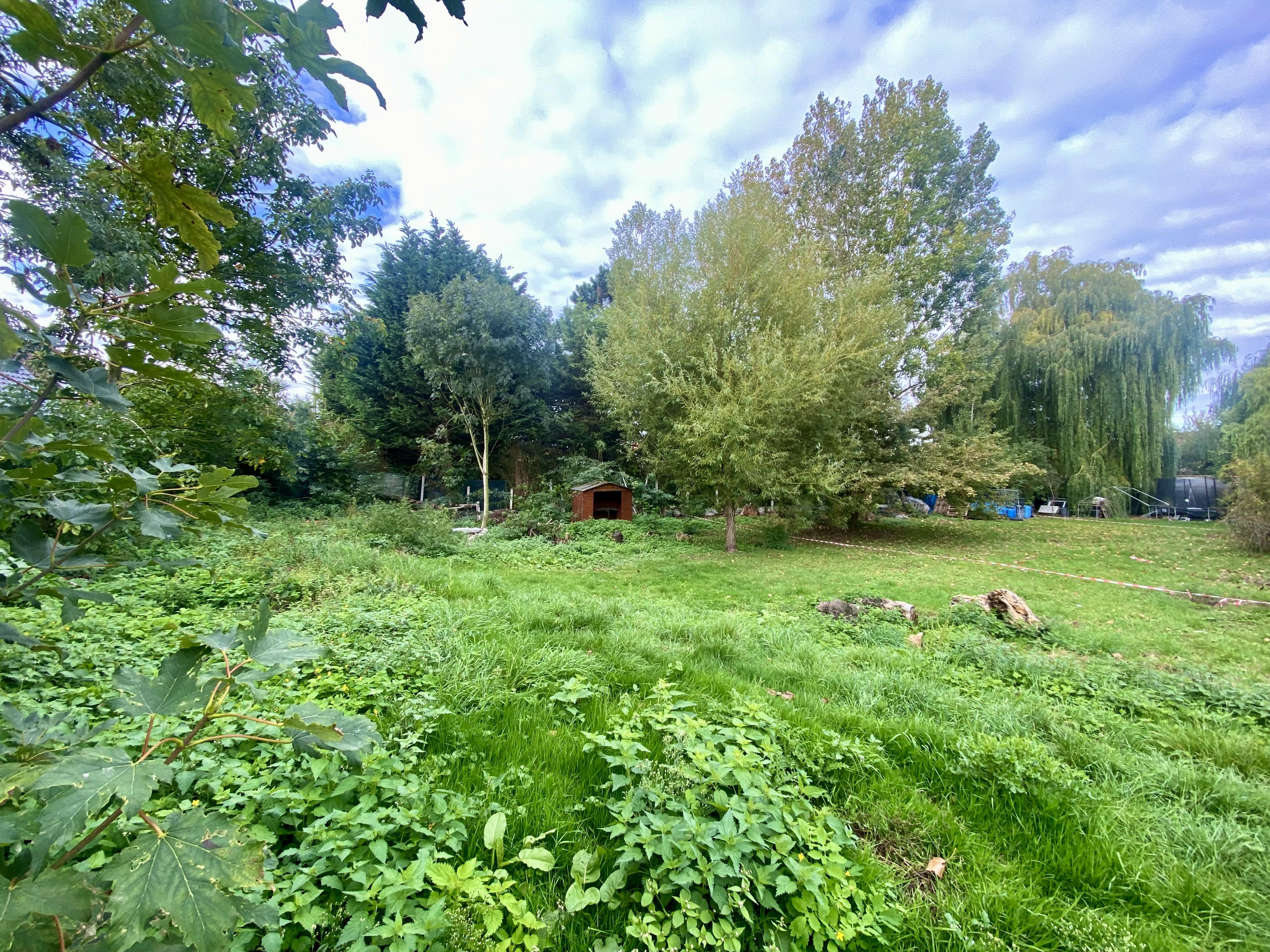 Terrain