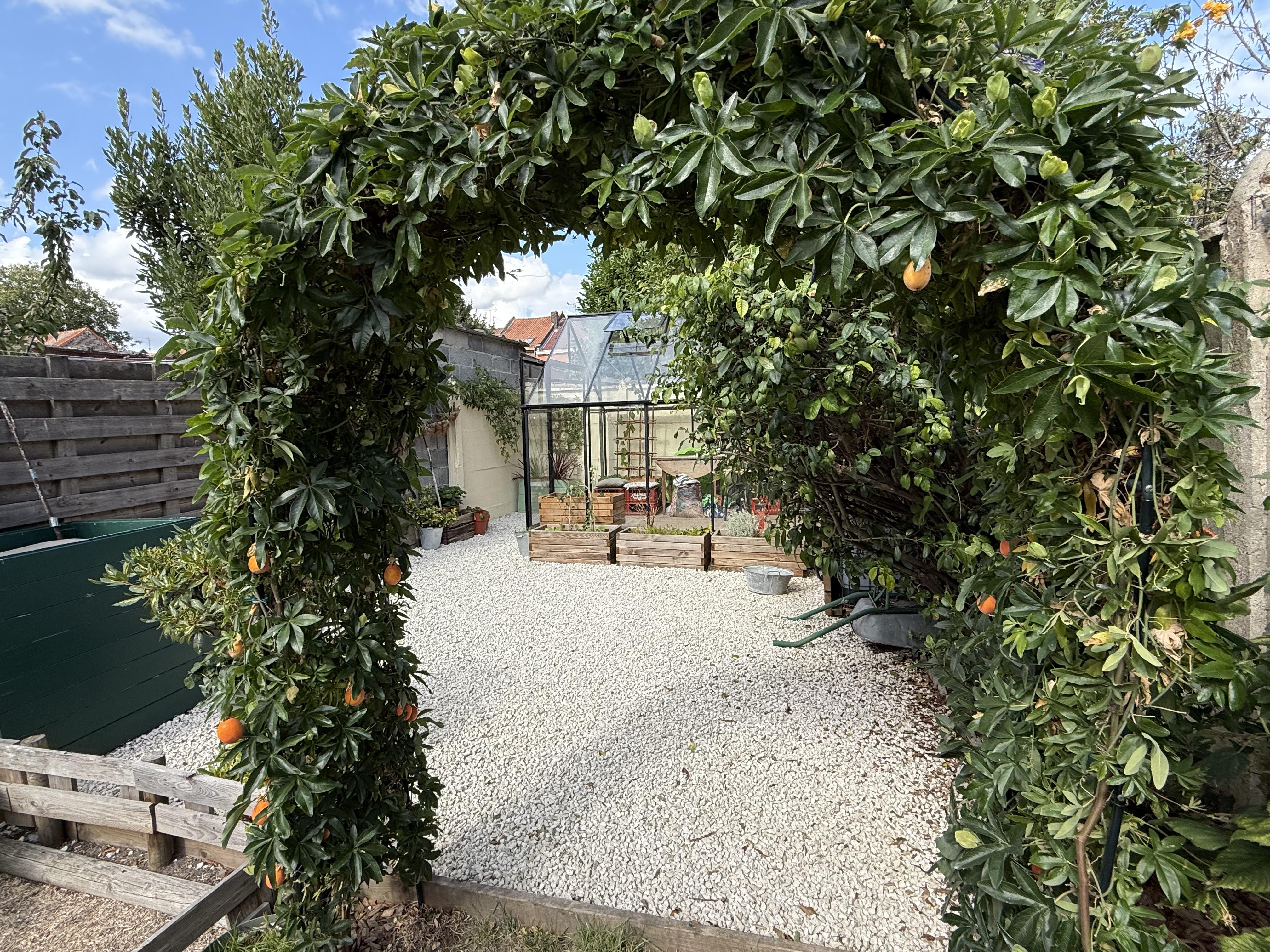 Maison